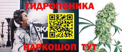 бошки Тверь