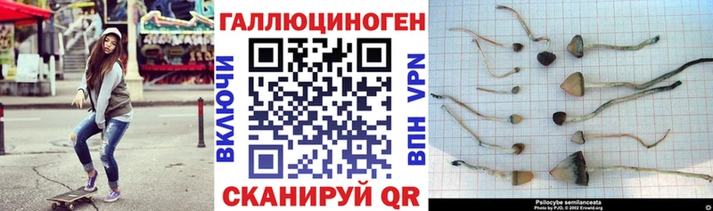Галлюциногенные грибы GOLDEN TEACHER Нижнеудинск